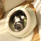 Cozy Kitten Lounger/Pet Bed