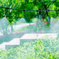 Automatic Irrigation Spray Sprinkler System